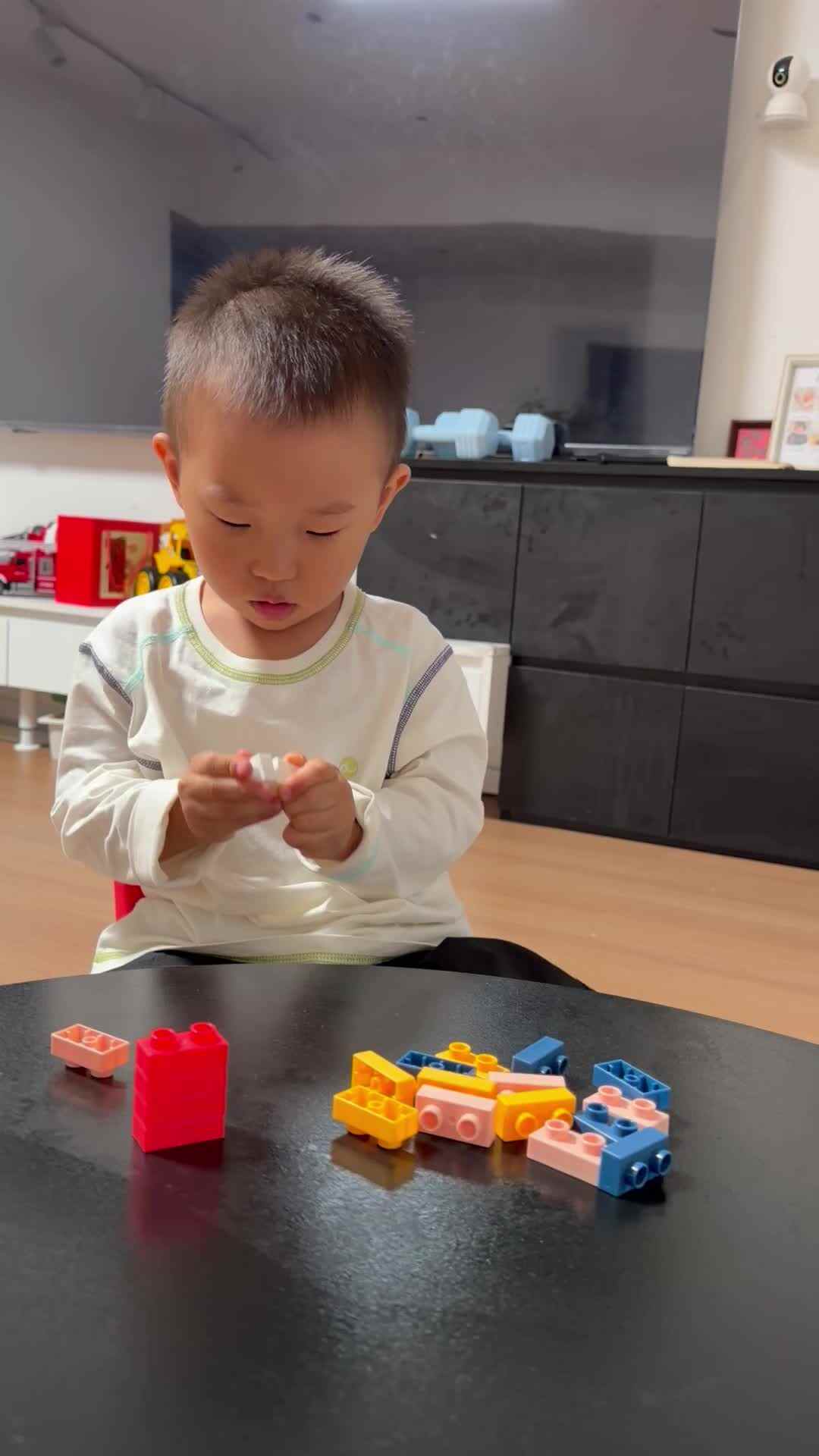 2026年9月16日马煦安操作玩具《颜色配对》家庭闯关作业