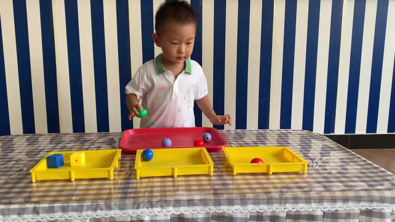 2026年9月8日 马煦安  《按物品特征分类》学校教育教学活动