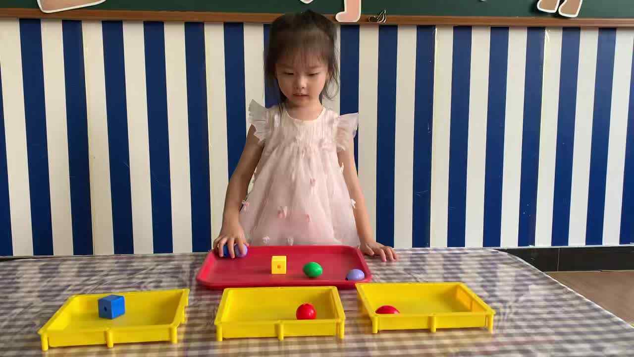 2026年9月8日  周晨羽 《按物品特征分类》学校教育教学活动