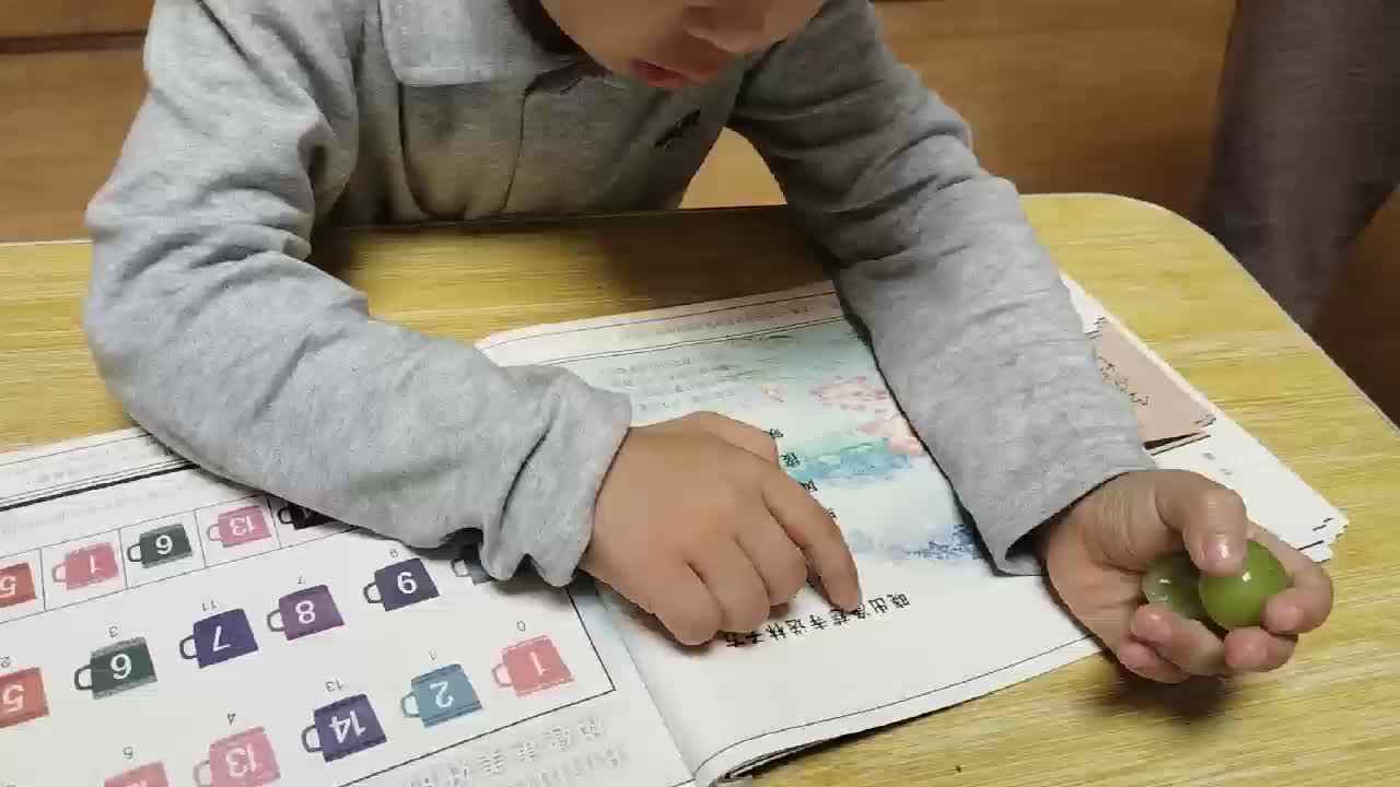 20260918 张茗泽 指读古诗书《晓出净慈寺送林子方》家庭闯关练习
